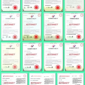 國內專(zhuān)利